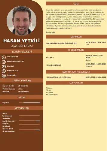 Havacılık Ve Uzay Uçak Mühendisi Cv Örnekleri cv indir
